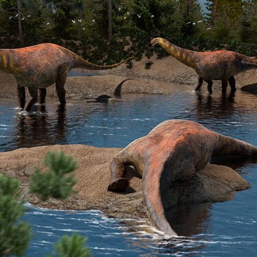 Descubren en Argentina un dinosaurio que vivió hace 95 millones de años: así era el Astigmasaura genuflexa y así fue su hallazgo 