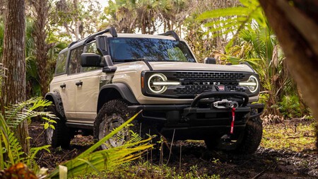 Ford Bronco Everglades 2