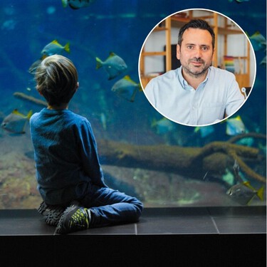 Álvaro Bilbao, neuropsicólogo: "La alta sensibilidad y el carácter fuerte en un niño suelen ir asociados a una alta capacidad cognitiva"