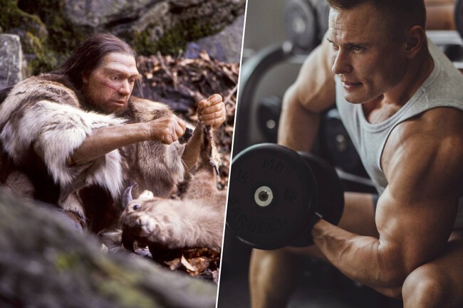 Musculos Neandertales