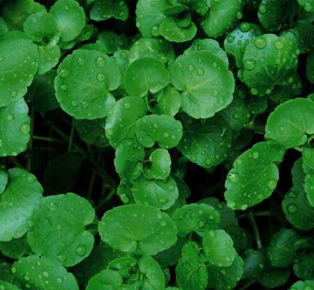 Ecam2021 5516450 001