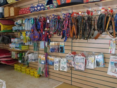 Mobiliario Para Tienda De Mascotas8