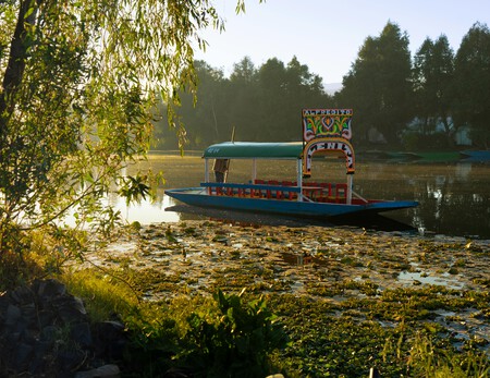 Lánzate a la Feria de la Barbacoa 2026 en Xochimilco, un destino famoso por su canales, trajineras y chinampas, ideal para una escapada