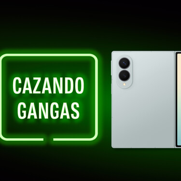 Cazando Gangas