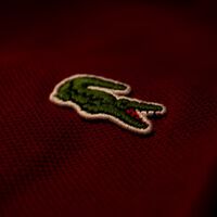 Lacoste liquida el polo cómodo y versátil que sienta como un guante y cuesta menos de lo que crees