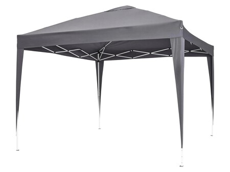 Carpa Lidl