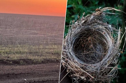 Fibra óptica na guerra / Imagem: Reddit