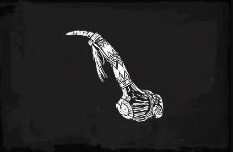 Abalorio De Asta De Uapiti