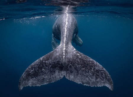 Estas son las fotografías ganadoras del Concurso de fotos de viajes de National Geographic