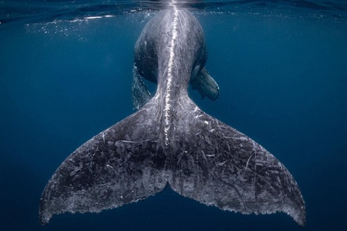 Estas son las fotografías ganadoras del Concurso de fotos de viajes de National Geographic 
