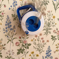 Un electricista me avisó: nunca enchufes aparatos a un alargador sin fijarte en esté número