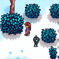 Cómo completar la misión "Un Misterio Invernal" en Stardew Valley 