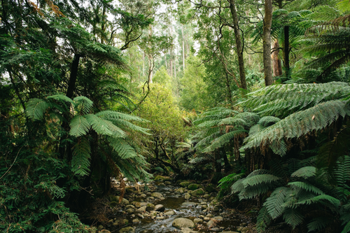 Getty Images/Ippei Naoi