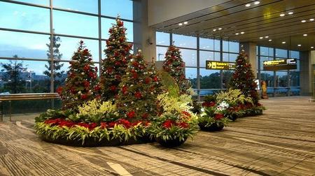 Compañeros de ruta: viajeros en Navidad