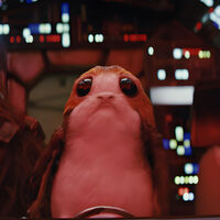 Disney canceló la película de un favorito de Star Wars y los fans reaccionaron como era de esperarse: con una campaña para revivirla