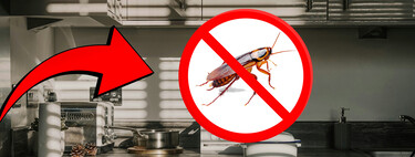 Es barato, lo venden en la farmacia y lo están usando para acabar con las cucarachas: la ciencia dice que sí funciona 