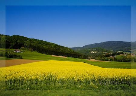 ¿Por qué nos gustan más determinados paisajes que otros?