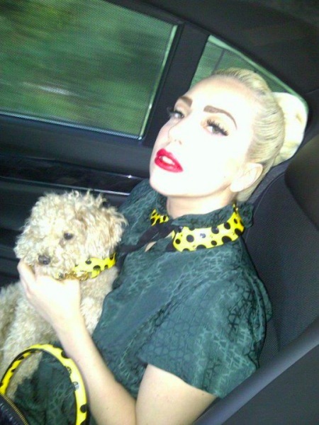 A Lady Gaga le gusta zampar... y desde luego, no está de no comer