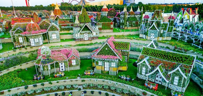 Dubai Miracle Garden 7