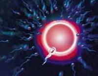 Los baños muy calientes reducen la fertilidad del varón