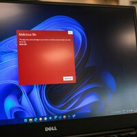 Un joven de 16 años puso en evidencia a Microsoft: accedió a 17.3 billones de filas de datos usando el usuario "admin" 