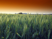 ¿Dividendos? No, somos una pyme