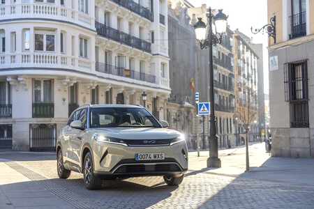 Atto2 Hikinggreen Dinamico 4