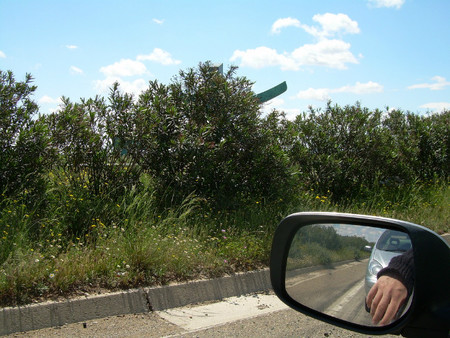descansando al volante