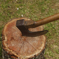 La cuestión no es cuánto van a subir los impuestos, sino cuándo lo harán