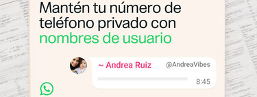 Nomes de usuário do WhatsApp estão começando a chegar: veja como reservar o seu 