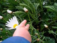 Celebra el Día de la Tierra con tus hijos