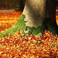 Cuando la 'vuelta al cole' se convierte en una pesadilla para los autónomos