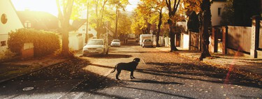 El círculo infinito, o por qué aún no tenemos los coches autónomos que nos habían prometido