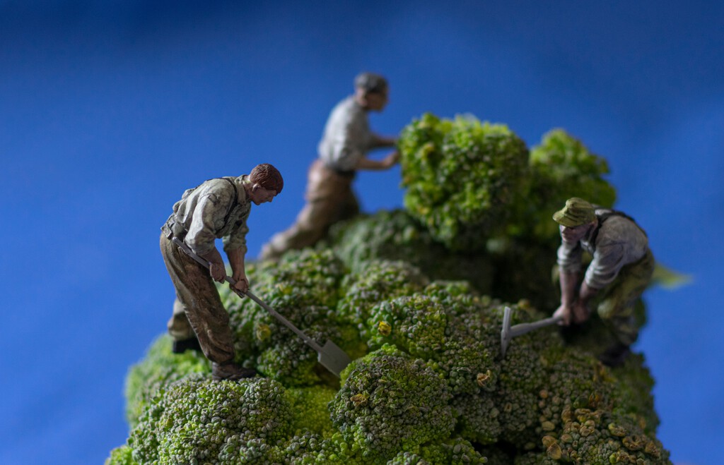 Un equipo de investigadores chinos acaban de presentar una estrategia sencilla para perder peso: comer verduras crudas 