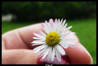 Opciones para reclutar personal 