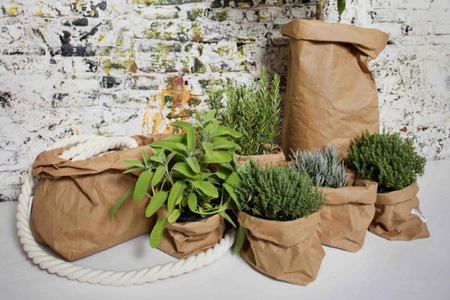 Uashmama, bolsas de papel lavables para tus plantas