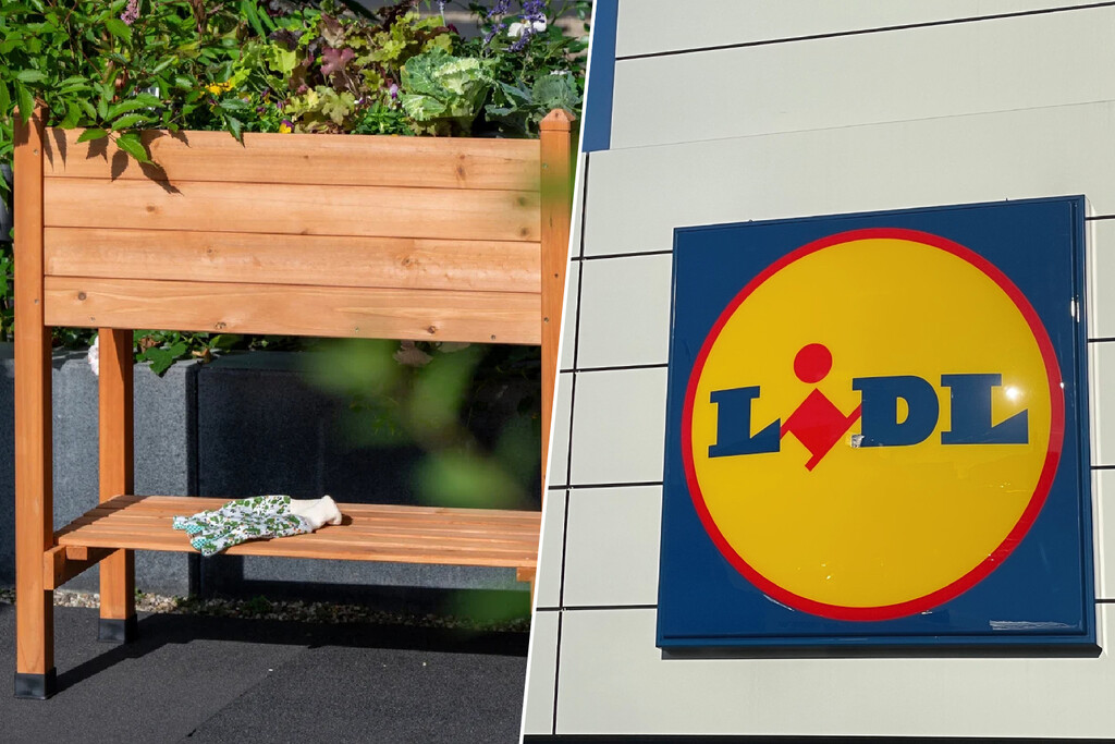 Lidl ha rebajado esta jardinera con la que convertir la terraza o el balcón en un huerto urbano