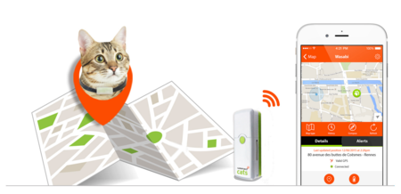 Weenect Cats, el móvil para gatos que te permitirá localizarle y hablar con él
