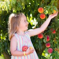 Si tu hijo es alérgico al polen también podría presentar alergia a las frutas: qué es el 'síndrome polen-fruta'