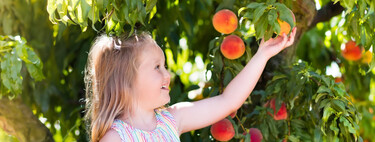Si tu hijo es alérgico al polen también podría presentar alergia a las frutas: qué es el 'síndrome polen-fruta'
