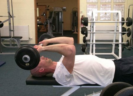 Algunos consejos para entrenar bien los tríceps