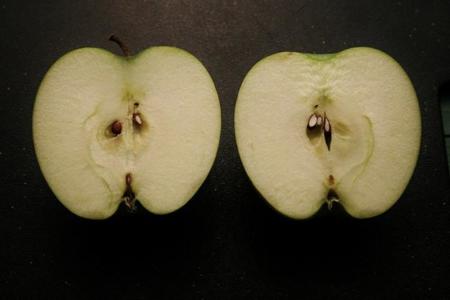 ¿Sabías que las semillas de las manzanas contienen cianuro?