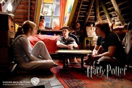 Indignados por el retraso en el estreno de Harry Potter y el príncipe Mestizo