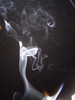 Habitat: con H de humo