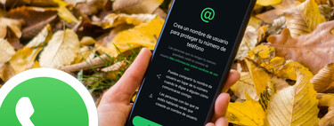 Puedes perder tu nombre en WhatsApp si no te das prisa: los mejores están desapareciendo