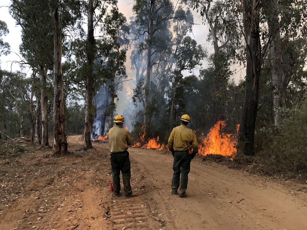Los incendios del verano vienen con un compañero de viaje que se está revelando letal: el humo