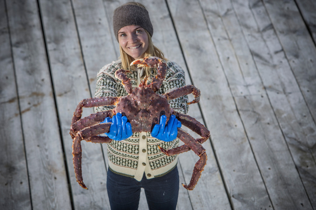 Cangrejo real: cómo es y a qué sabe el marisco de moda que los soviéticos trajeron a Europa