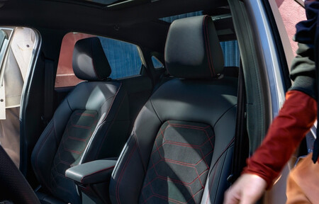 Puma Interior 2 Asientos