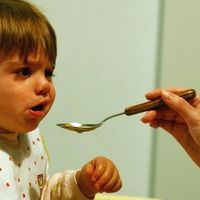 Neofobia, miedo a probar alimentos nuevos