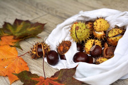 Viaja por España este otoño recorriendo las mejores ferias gastronómicas 